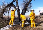 Grass & scrub fire, Nairne