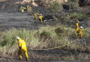 Grass fire, Willaston