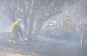 Grass / Scrub fire, Harrogate