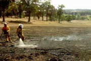 Grass fire, Macclesfield