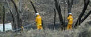 Grass & scrub fire, Paracombe