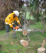 Chainsaw Course, Kingston