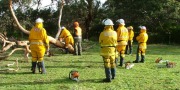 Chainsaw Course, Kingston