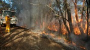 Scrub fire, Bridgewater