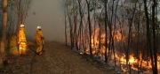 Scrub fire, Bridgewater