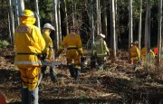 Chainsaw Course, Kuitpo