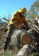 Chainsaw Course, Kuitpo