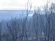 Scrub fire, Kangaroo Island