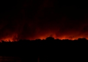 Scrub fire, Kangaroo Island