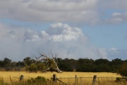 Scrub fire, Kangaroo Island