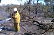 Scrub fire, Binnum