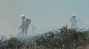 Scrub fire, Carey Gully