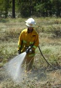 Scrub fire, Carey Gully