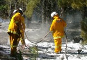 Forest fire, Myora (near Mt Gambier)