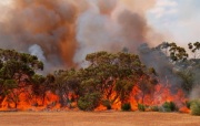 Scrub fire, Kangaroo Island