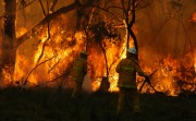 Scrub fire, Morialta