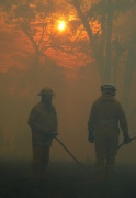 Scrub fire, Morialta