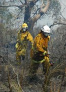 Scrub fire, Morialta