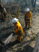 Scrub fire, Morialta