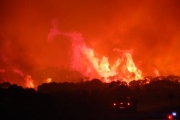 Scrub fire, Kangaroo Island