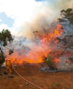 Scrub fire, Kangaroo Island