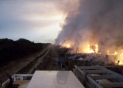 Bushfire, Flinders Chase, KI