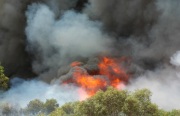 Scrub fire, D'Estrees Bay, KI