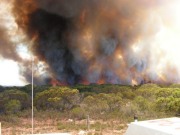 Scrub fire, Warooka