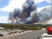 Bushfire, D'Estrees Bay, KI