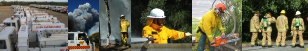 The CFS in Action!