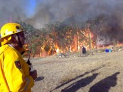 Scrub fire, Willunga