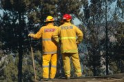 Forest Fire, Gumeracha