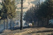 Forest Fire, Gumeracha