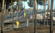 Forest Fire, Gumeracha