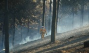Forest Fire, Gumeracha