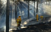 Forest Fire, Gumeracha