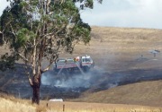 Grass fire, Balhannah