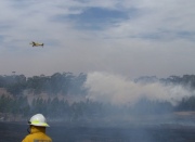 Grass fire, Balhannah
