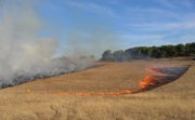 Hazard reduction burn, Hackham
