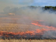 Hazard reduction burn, Hackham