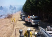 Forest Fire, Gumeracha