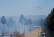 Forest Fire, Gumeracha
