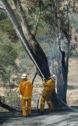 Scrub fire, Montacute