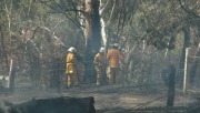 Scrub fire, Montacute