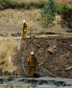 Scrub fire, Montacute