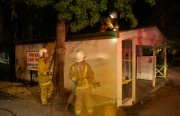 Grass & tree fire, Stirling