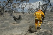 Scrub & grass fire, Williamstown