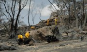 Scrub & grass fire, Williamstown