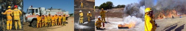 The CFS in Action!