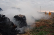 Hay Fire, Meningie